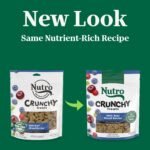 Nutro Crunchy Dog Treats with Real Mixed Berries, 16 oz - Image 3