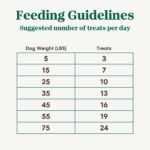 Nutro Crunchy Dog Treats with Real Mixed Berries, 16 oz - Image 9