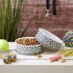 Bone Dry Paw Print Ceramic Pet Bowl, Lattice Collection, Medium Set, 6x2", Gray, 2 Count - Image 6