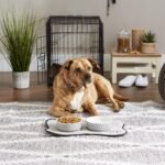 Bone Dry Paw Print Ceramic Pet Bowl, Lattice Collection, Medium Set, 6x2", Gray, 2 Count - Image 7