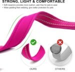 azuza Reflective Dog Collar, Neoprene Padded Small Dog Collar, Hot Pink, S - Image 3