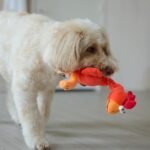 SPOT Chirpies Plush Dog Toy – Bird Sound Squeaky Toy for Small and Medium Dogs, Light to Moderate Chewers, Stretchy Bungee Neck, Recycled Stuffing – 14 in, Assorted Styles - Image 10