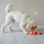 SPOT Chirpies Plush Dog Toy – Bird Sound Squeaky Toy for Small and Medium Dogs, Light to Moderate Chewers, Stretchy Bungee Neck, Recycled Stuffing – 14 in, Assorted Styles - Image 12