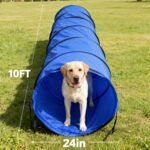 Dog Agility Tunnel with Carry Bag and Ground Spikes, Foldable 10-Foot Tunnel for Dog Training, Dog Agility Equipment for Outdoor, Backyard, Indoor Use, KINETOVOLTA - Image 4