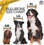 Bullibone Nylon Dog Chew Toy for Aggressive Chewers - Dental Hygiene Bone with Peanut Butter Flavor, Durable Tough Chew Toys for Small Dogs, Indestructible Dog Bone - Single - Image 7