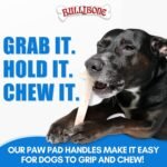 Bullibone Nylon Dog Chew Toy for Aggressive Chewers - Dental Hygiene Bone with Peanut Butter Flavor, Durable Tough Chew Toys for Small Dogs, Indestructible Dog Bone - Single - Image 8