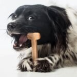 Bullibone Nylon Dog Chew Toy for Aggressive Chewers - Dental Hygiene Bone with Peanut Butter Flavor, Durable Tough Chew Toys for Small Dogs, Indestructible Dog Bone - Single - Image 9