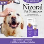 Nizoral Ketoconazole Pet Shampoo, 16 Oz, Chlorhexidine, Dogs & Cats - Image 2