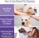 Nizoral Ketoconazole Pet Shampoo, 16 Oz, Chlorhexidine, Dogs & Cats - Image 5