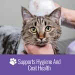 Nizoral Ketoconazole Pet Shampoo, 16 Oz, Chlorhexidine, Dogs & Cats - Image 6