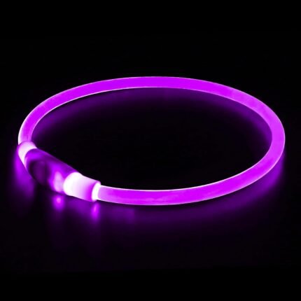 Light up Dog Collar, BSEEN USB Rechargeable Led Flash Dog Necklace Collar