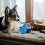 FLEXI® Classic Cord Retractable Dog Leash, Medium, 16 ft - Blue - Image 5