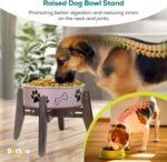 2Pack - Dog Bowl Stand for Water/Food - Adjust with Lock - Dog Water Fountain Holder, Elevates Pet Food and Water Feeder Bowls (Bowl not Included) (2 Pack - (Height 10.4in Width 8-11.5 in) - Image 6