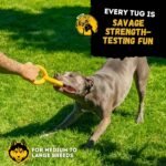 Tug Rings – Indestructible Dog Toy for Aggressive Chewers – Durable Power Chewer Toy – Tough, Heavy Duty Natural Rubber – Safe & Non-Toxic Medium/Large Breed – 6.5in - Image 5