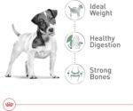 Royal Canin Size Health Nutrition Small Breed Dog Food Dry, Supports Healthy Weight, Digestive Health and Healthy Skin and Coat, 14 lb Bag - Image 4