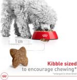 Royal Canin Size Health Nutrition Small Breed Dog Food Dry, Supports Healthy Weight, Digestive Health and Healthy Skin and Coat, 14 lb Bag - Image 5