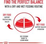Royal Canin Size Health Nutrition Small Breed Dog Food Dry, Supports Healthy Weight, Digestive Health and Healthy Skin and Coat, 14 lb Bag - Image 6