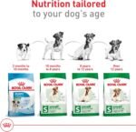 Royal Canin Size Health Nutrition Small Breed Dog Food Dry, Supports Healthy Weight, Digestive Health and Healthy Skin and Coat, 14 lb Bag - Image 8