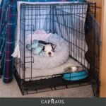 CAPHAUS Foldable Dog Crate Wire Metal Dog Kennel w/Leak-Proof Pan & Protecting Feet & Divider Panel, Single or Double Door, Small, Medium & Large Dog Crate Indoor Cage, 30” w/Single Door - Image 8