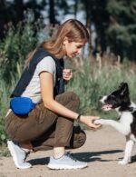 heouvo 1.67 Cup Dog Treat Pouch with Training Clicker (Blue) - Image 3