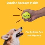 Pup's Pick Squeaky Tennis Balls - 2.5" Fun Dog Balls for Fetch, 12-Pack in Bright Colors (Yellow, Blue, Pink, Orange), Includes 1 Reusable Carry Bag - Image 4