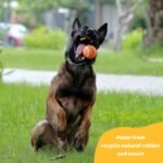 Pup's Pick Squeaky Tennis Balls - 2.5" Fun Dog Balls for Fetch, 12-Pack in Bright Colors (Yellow, Blue, Pink, Orange), Includes 1 Reusable Carry Bag - Image 8