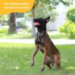 Pup's Pick Squeaky Tennis Balls - 2.5" Fun Dog Balls for Fetch, 12-Pack in Bright Colors (Yellow, Blue, Pink, Orange), Includes 1 Reusable Carry Bag - Image 9