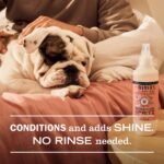 MRS. MEYER'S Clean Day Dog Deodorizing Spray, White Peach Scent, 8oz - Image 4