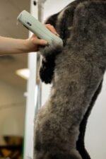 Wahl Professional Animal KMC+ 2-Speed Cordless Clipper, Sage, 3025661 - Image 7