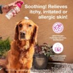 Douxo S3 Calm Itch Soothing Mousse for Dogs & Cats - Image 2