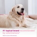 Douxo S3 Calm Itch Soothing Mousse for Dogs & Cats - Image 3