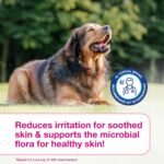 Douxo S3 Calm Itch Soothing Mousse for Dogs & Cats - Image 7