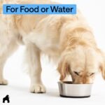 GORILLA GRIP Dog Bowl, Food Grade 304 Stainless Steel, 6 Cup, Black - Image 8