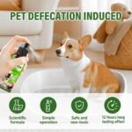 Potty Training Spray for Dogs, Indoor and Outdoor Housebreaking Aid, 120ml - Image 3
