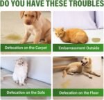 Potty Training Spray for Dogs, Indoor and Outdoor Housebreaking Aid, 120ml - Image 6