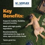 MOVOFLEX Advanced Soft Chews Hip and Joint Support Supplement for Medium Dogs - 60 Count by Virbac - Image 5