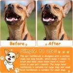 Honeydak 70 Pcs Dog Tooth Brush Dual Headed Pet Toothbrush, Colorful - Image 6