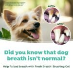 TropiClean Oral Care Brushing Gel for Dogs & Cats| Dog Toothpaste | Pet Dental Gel | Dog Teeth Cleaning Use with Pet Toothbrush | 2 oz - Image 5