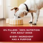 Purina ONE True Instinct High Protein Wet Dog Food, (12) 13 oz Cans - Image 7