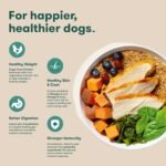 Jinx Puppy Dry Dog Food - Real Chicken, Brown Rice & Sweet Potato, 4lb - Image 4