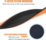Heavy Duty Tactical Dog Collar - 1.5" Width Military Durable Thick Nylon with Adjustable Metal D Ring & Buckle Working Training K9 Collar for Medium Large Dogs (L(20"-23"), Orange) - Image 4