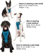 Kurgo Enhanced Strength Tru-Fit Smart Harness, Ink Blue, Large - Image 6