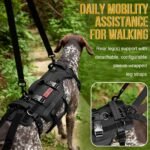 OneTigris Dog Lift Harness for Large Dogs, Dog Hip Support Brace, Full Body Lifter with Handles Invictus Multifunctional Mobility Assistance Vest for Back Legs (Black, Large) - Image 3