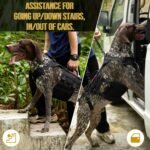 OneTigris Dog Lift Harness for Large Dogs, Dog Hip Support Brace, Full Body Lifter with Handles Invictus Multifunctional Mobility Assistance Vest for Back Legs (Black, Large) - Image 4