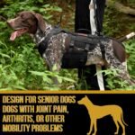 OneTigris Dog Lift Harness for Large Dogs, Dog Hip Support Brace, Full Body Lifter with Handles Invictus Multifunctional Mobility Assistance Vest for Back Legs (Black, Large) - Image 5
