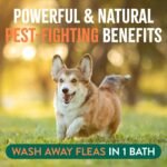 TropiClean Soothing Flea and Tick Shampoo Treatment for Dogs, 20oz - Image 4