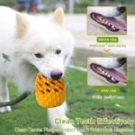 Indestructible Pineapple Dog Toy - Gaint Aggressive Chewers Training - Image 4