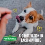 Pet Botanics Training Rewards Mini Soft & Chewy Dog Treats, Chicken, 10 oz - Image 6