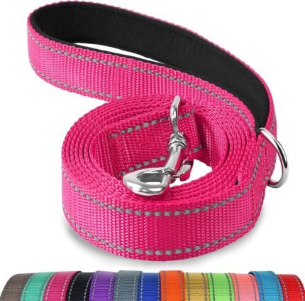 Joytale Reflective Dog Leash for Medium & Large Dogs, 6 FT x 1″, Hotpink
