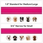 Joytale Reflective Dog Leash for Medium & Large Dogs, 6 FT x 1", Hotpink - Image 5